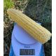1805 F1 насіння кукурудзи суперсолодкої Sh2 середньої 75-78дн. 26см (Lark Seeds)