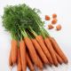 Титан F1 (2-2,4) насіння моркви середньоранньої 90дн. (Lark Seeds)