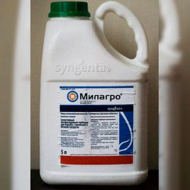 Милагро 240 гербицид концентрат суспензии (Syngenta)
