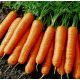 Артек насіння моркви (Яскрава)