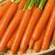 Витаминная семена моркови средней 80-100 дн. 15-19 см 80-165 гр. (Яскрава)