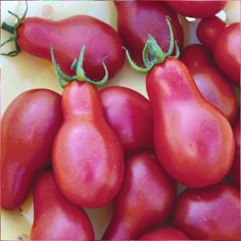 Груша рожева насіння томату середнього (Яскрава)