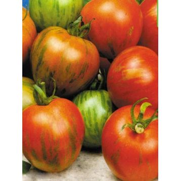 Де барао полосатый семена томата индет. среднего 120-130 дн. слив. 60-70 гр. полос. (Яскрава)