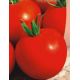 Ефемер насіння томату раннього (Яскрава)