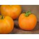Персик семена томата полудет. среднего 100 гр. окр. оранж. (Яскрава)