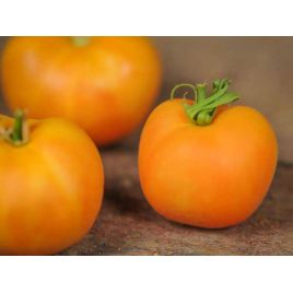 Персик насіння томату середнього (Яскрава)