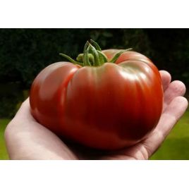 Шапка Мономаха насіння томату(Яскрава)
