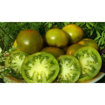 Ізумрудне Яблуко насіння томату середнього (Яскрава)