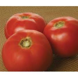 Фалькон насіння томату дет черв 80-85 дн (BT Tohum)