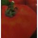 Хасан насіння томата дет. середнеранього 70-80дн. окр. 125-135г кр. (Світязь)
