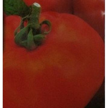 Хасан насіння томата дет. середнеранього 70-80дн. окр. 125-135г кр. (Світязь)