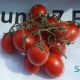 6Пунто7 F1 (6Punto7 F1) семена томата дет. черри ультрараннего 80-85 дн. слив. 18-22 гр. красный (Seminis)