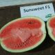 Сансвит F1 (Сан Свит F1, Sun Sweet F1) семена арбуза тип кр.св. среднего 13-15 кг окр. (Cora Seeds)