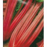Вулкан насіння мангольда 40-45 см червон (GL Seeds)