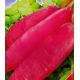 Китайський рожевий насіння редьки Дайкон пізньої 45-60 дн.100-120 гр. роз. (GL Seeds)