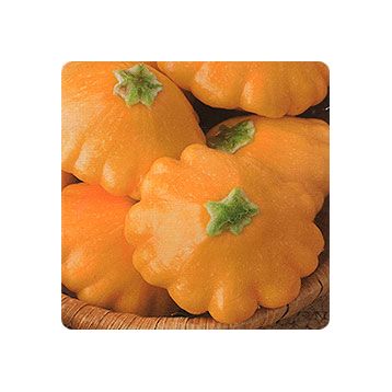 НЛО насіння патісонна раннього 45-50 дн. 300-450 гр. оранж.-желт. (GL Seeds)