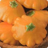 НЛО семена патиссона раннего 45-50 дн. 300-450 гр. оранж.-желт. (GL Seeds)