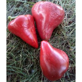Малиновое сердце семена перца сладкого среднего 120-125 дн сердцев 200-300 гр 10-15 мм красн (GL Seeds)