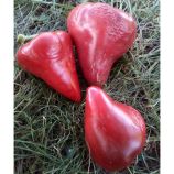 Малиновое сердце семена перца сладкого среднего 120-125 дн сердцев 200-300 гр 10-15 мм красн (GL Seeds)