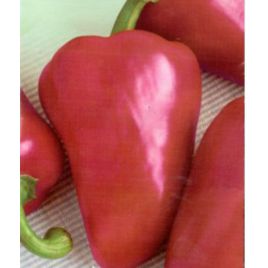 Людмила семена перца сладкого тип Венгерский среднего 120-150 гр 8-10 см 7-10 мм красн (GL Seeds)