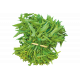 Зелений Бум насіння шпинату новозеландського (Hem Zaden ЛА)