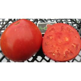 Сахарный пудовичок семена томата дет среднего 110-120 дн 300-600 гр роз (Семена Украины)