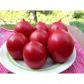 Де барао Царский розовый семена томата индет среднего 110-115 дн 100-150 гр слив желт (GL Seeds)