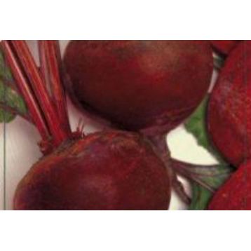 Красная вишня семена свеклы средней 100-110 дн. окр. 200-250 гр. (GL Seeds)