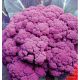 Ді Сицилія Віолетта насіння капусти цвітної середньої 105-115 дн 12-15 кг фиолет (GL Seeds)