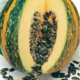 Голонасінний насіння гарбуза окр 3-7 кг(GL Seeds)