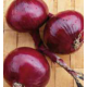 Рубин семена лука репчатого красного раннего 72-85 дн. окр. 60-80 гр. (GL Seeds)