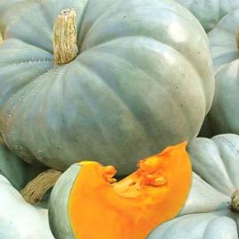 Зимовий солодкий насіння гарбуза пізнього 108-140 дн окр-припл 4-6 кг оранж-сер (GL Seeds)