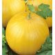 Злата насіння дині середньої 75-90 дн окр 15-26 кг желт (GL Seeds)