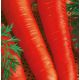 Лосиноостровская семена моркови (Яскрава)