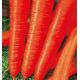 Королева осені насіння моркви Флакке пізньої 120-140 дн. 220гр. (Семена Украины)