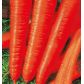 Королева осени семена моркови Флакке поздней 120-140 дн. 220гр. (Семена Украины)