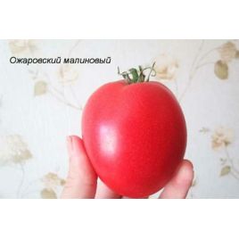 Малиновий Ожаровський насіння томату індет раннього окр 150-200 гр роз (GL Seeds)