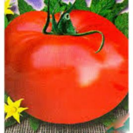 Национальная гордость семена томата индет. среднего 110-115 дн. окр. 300-500 гр. (GL Seeds)