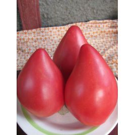 Розовый конус семена томата полудет среднего 110-120 дн сердц 200-450 гр роз (GL Seeds)
