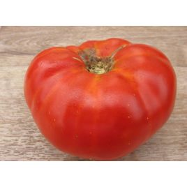 Андреевский сюрприз семена томата индет. среднего 112-120 дн. окр.-припл. 500-700 гр. (GL Seeds)