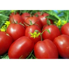 Кобзарь Тарасенко семена томата дет среднего 110-120 дн слив 80-100 гр (GL Seeds)
