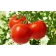 Незалежный семена томата дет. среднего окр. 120-180 гр. (GL Seeds)