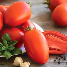 Британский завтрак семена томата индет среднего 110-115 дн перц 60 гр (GL Seeds)