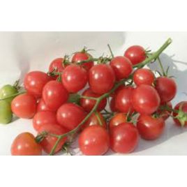Шалун семена томата индет. черри раннего окр. 15-30 гр. роз. (GL Seeds)
