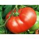 Хлебосольный семена томата полудет. среднего 115-120 дн. окр.-припл. 400-600 гр. (Украина СДБ)