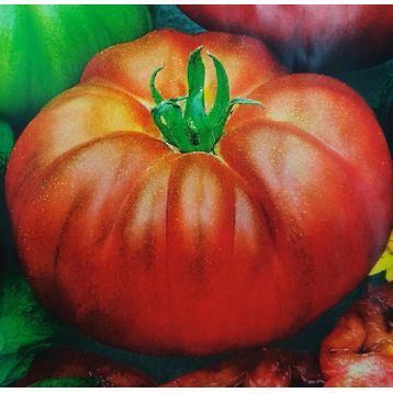 Аппетитный семена томата дет. раннего 150-110 дн. окр. 250-400г (Семена Украины) 