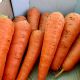 Абако F1 (Abaco F1) (1,4-1,6) семена моркови Шантане ранней 90-95 дн. (Seminis)