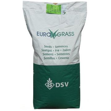 Теневой семена газонной травы (Euro Grass СДБ)