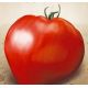 Буденовка красная семена томата индет. средн 105-110 дн. серцевидн. 150-300 гр. (Семена Украины)