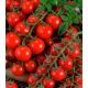 Радість садівника насіння томата індет середнього 110-115дн кругл 30-60 гр (Україна СДБ)